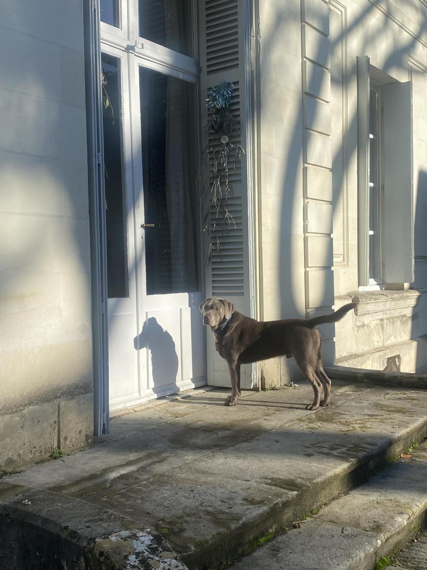 La Grande Carree Bed & Breakfast Saint-Cyr-sur-Loire Exterior foto